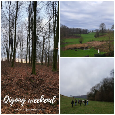 Qigong weekend in de Ardennen